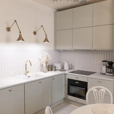 Enchanting 1br W/ King Bed In Unbeatable Location 公寓 赫尔辛基