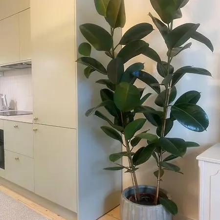 Enchanting 1br With King Bed In Unbeatable Location
